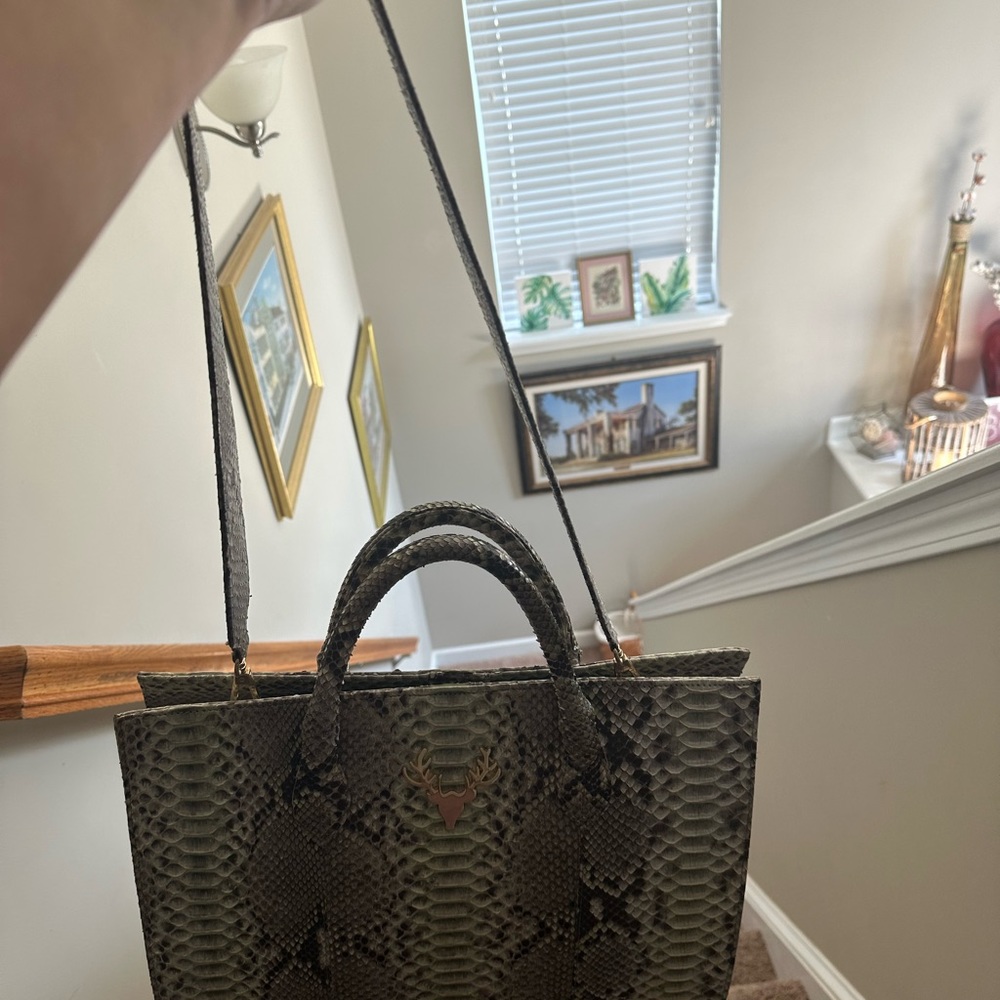 Shop Taxidermy REAL python bag 🐍 - Picture 11 of 12
